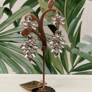 Crystal Dangly Earrings